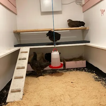 Landlig, Nydelig Og Fjord Utsikt - Sentralt 营地